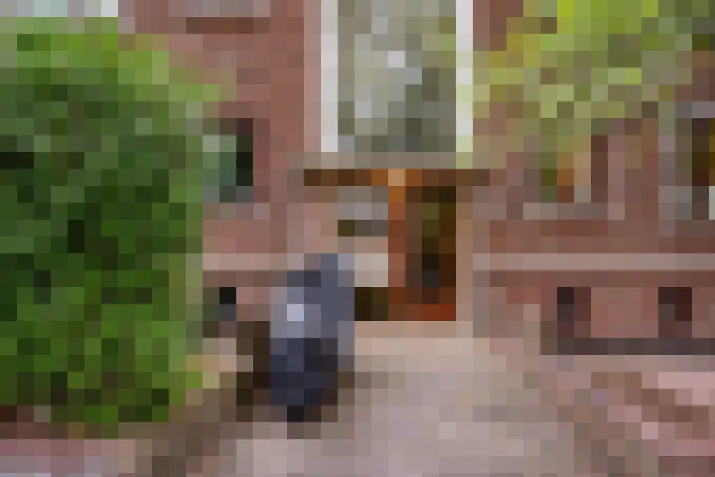 Daniël Catterwijckstraat 19 Rijswijk thumbnail 40