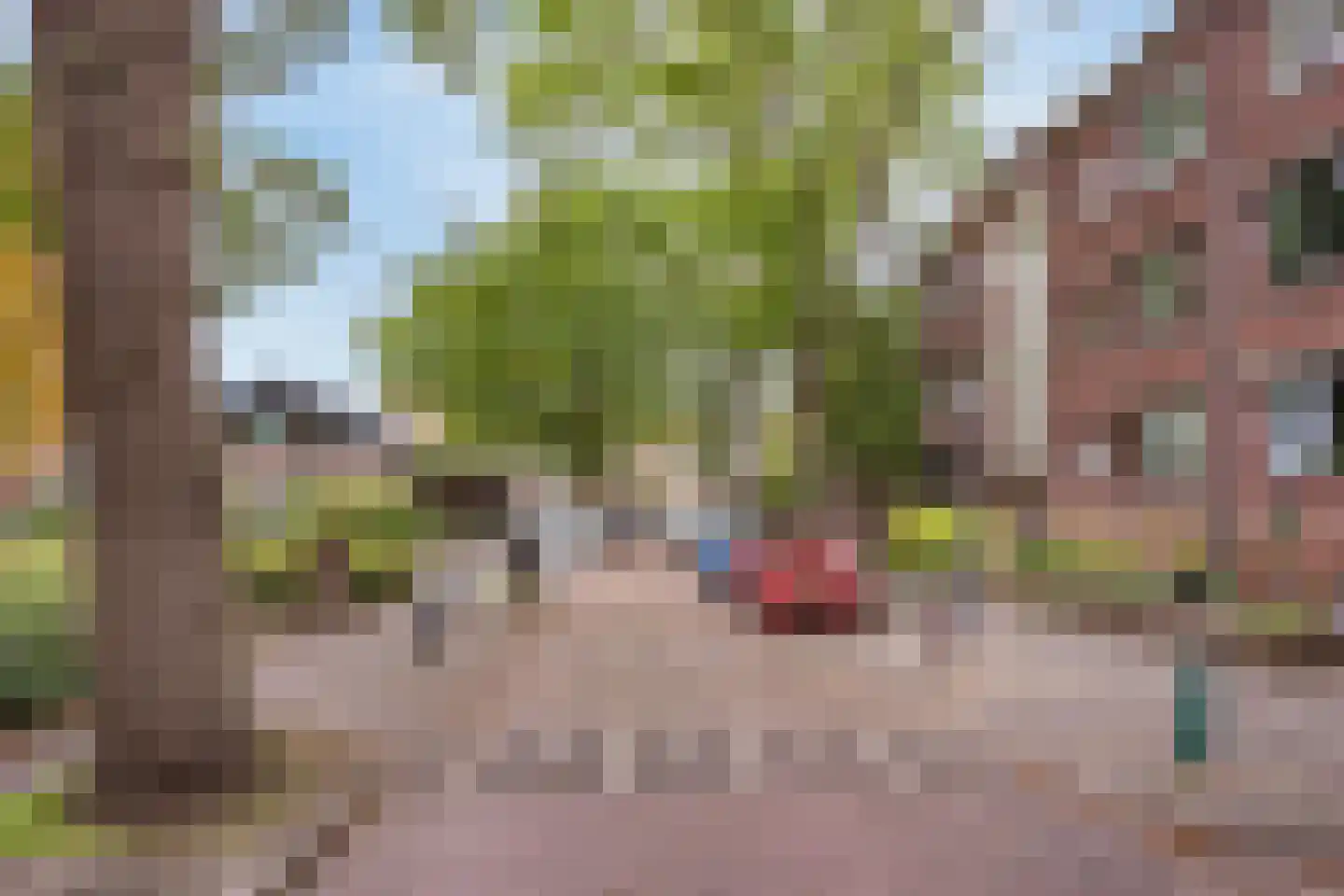 Daniël Catterwijckstraat 19 Rijswijk thumbnail 42