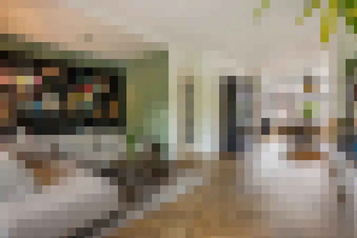 Daniël Catterwijckstraat 19 Rijswijk thumbnail 5