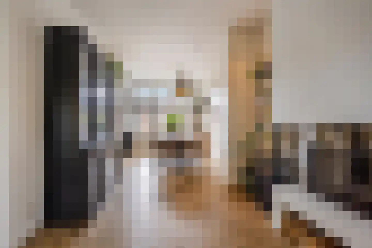 Daniël Catterwijckstraat 19 Rijswijk thumbnail 8