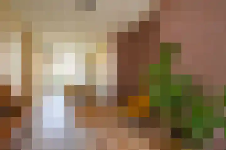 Daniël Catterwijckstraat 35 Rijswijk thumbnail 20