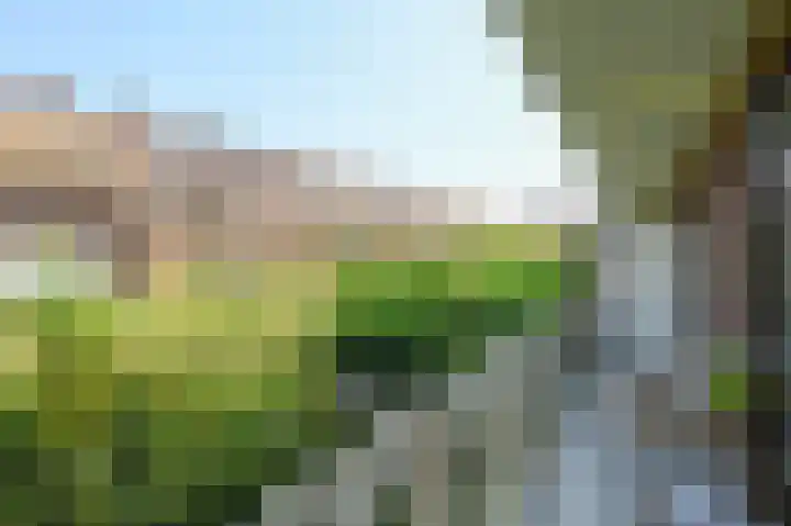 Daniël Catterwijckstraat 35 Rijswijk thumbnail 34