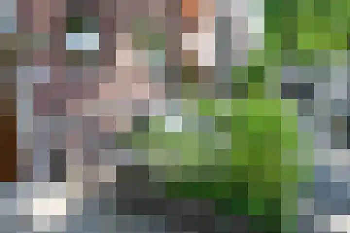 Daniël Catterwijckstraat 35 Rijswijk thumbnail 36