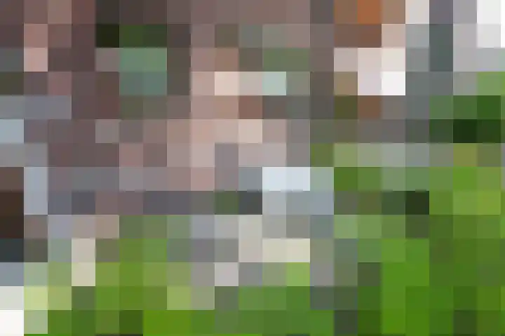 Daniël Catterwijckstraat 35 Rijswijk thumbnail 37