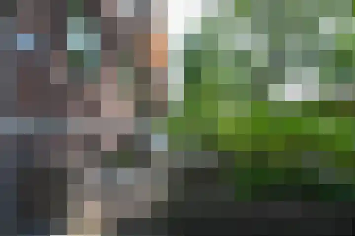 Daniël Catterwijckstraat 35 Rijswijk thumbnail 38
