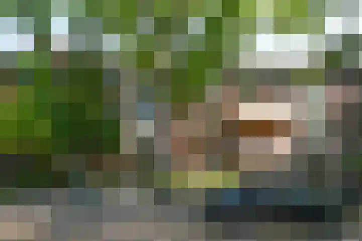 Daniël Catterwijckstraat 35 Rijswijk thumbnail 5