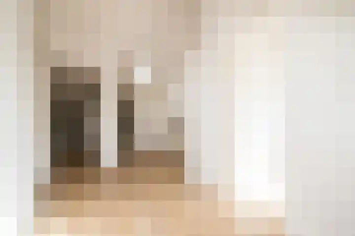 Daniël Catterwijckstraat 43 Rijswijk thumbnail 20