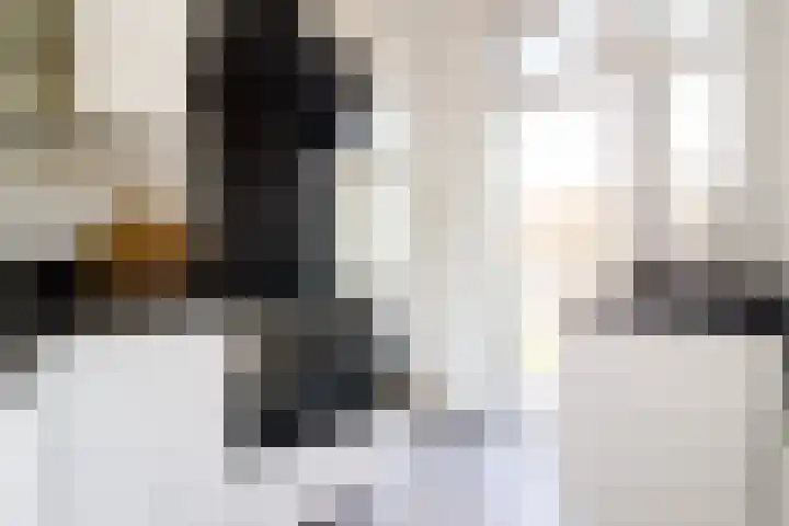 Daniël Catterwijckstraat 43 Rijswijk thumbnail 4