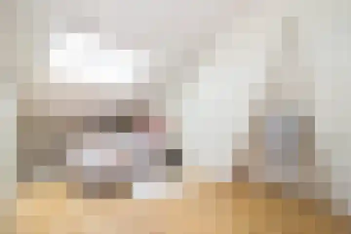 Daniël Catterwijckstraat 43 Rijswijk thumbnail 5