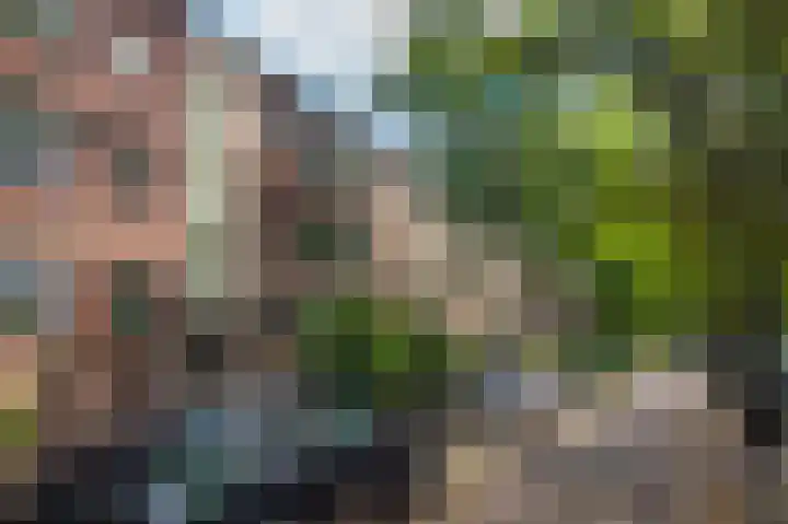 Daniël Catterwijckstraat 43 Rijswijk thumbnail 7
