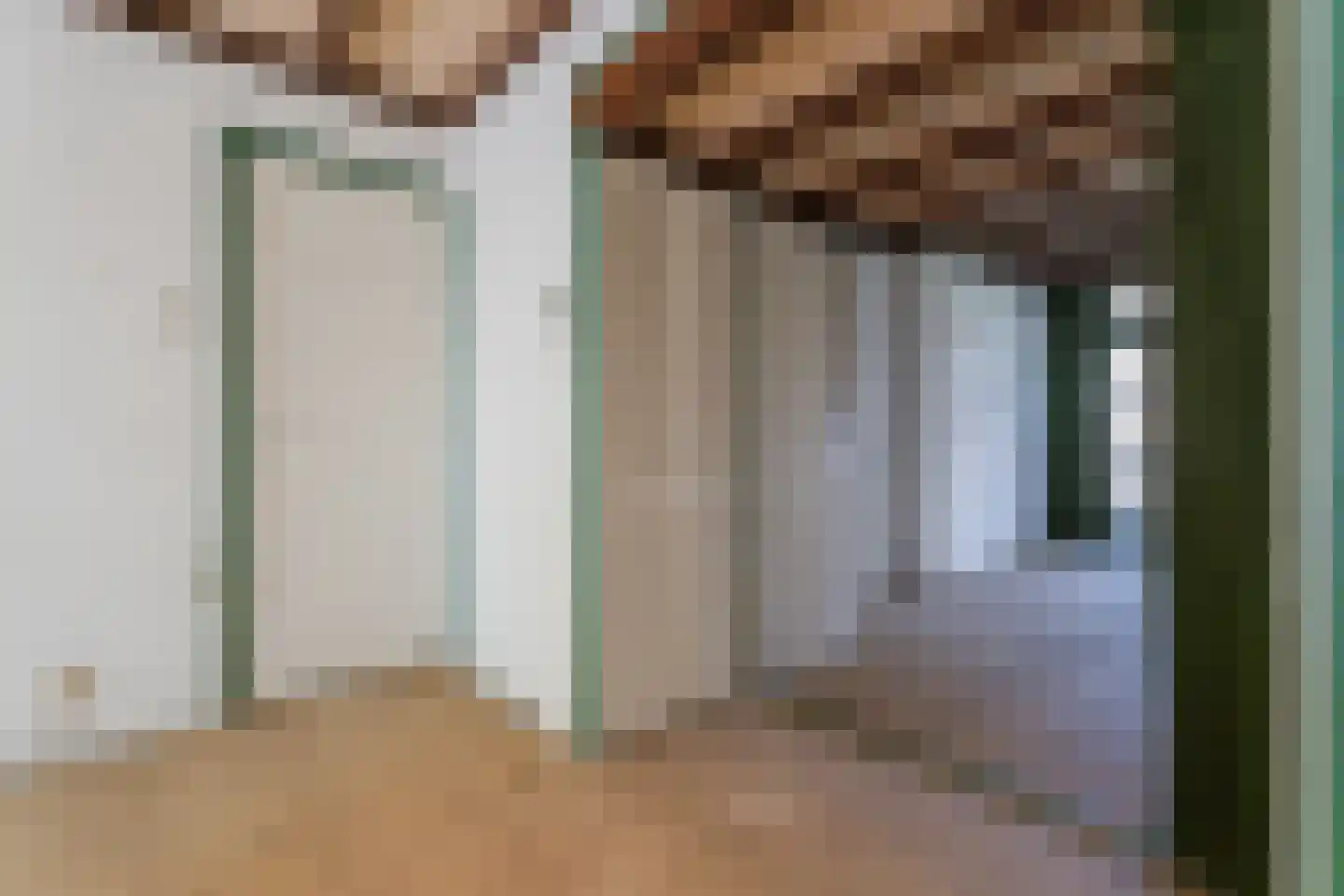 Daniël Catterwijckstraat 57 Rijswijk thumbnail 22
