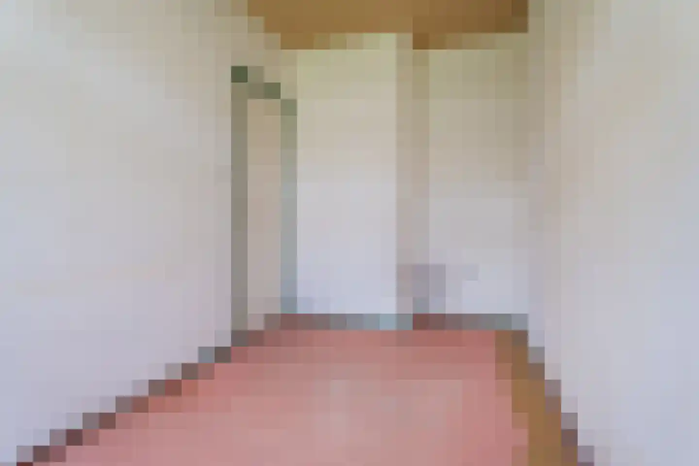 Daniël Catterwijckstraat 57 Rijswijk thumbnail 33