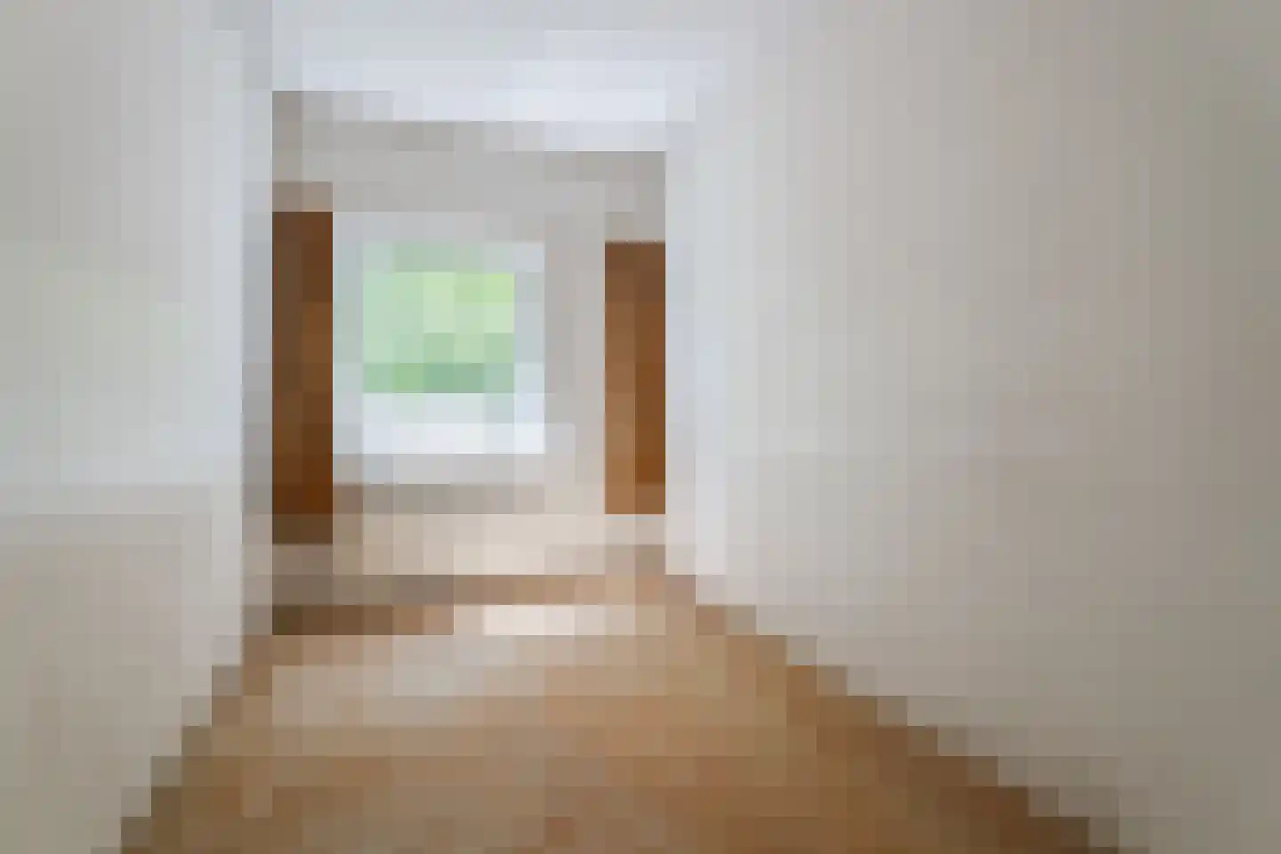 Daniël Catterwijckstraat 57 Rijswijk thumbnail 34
