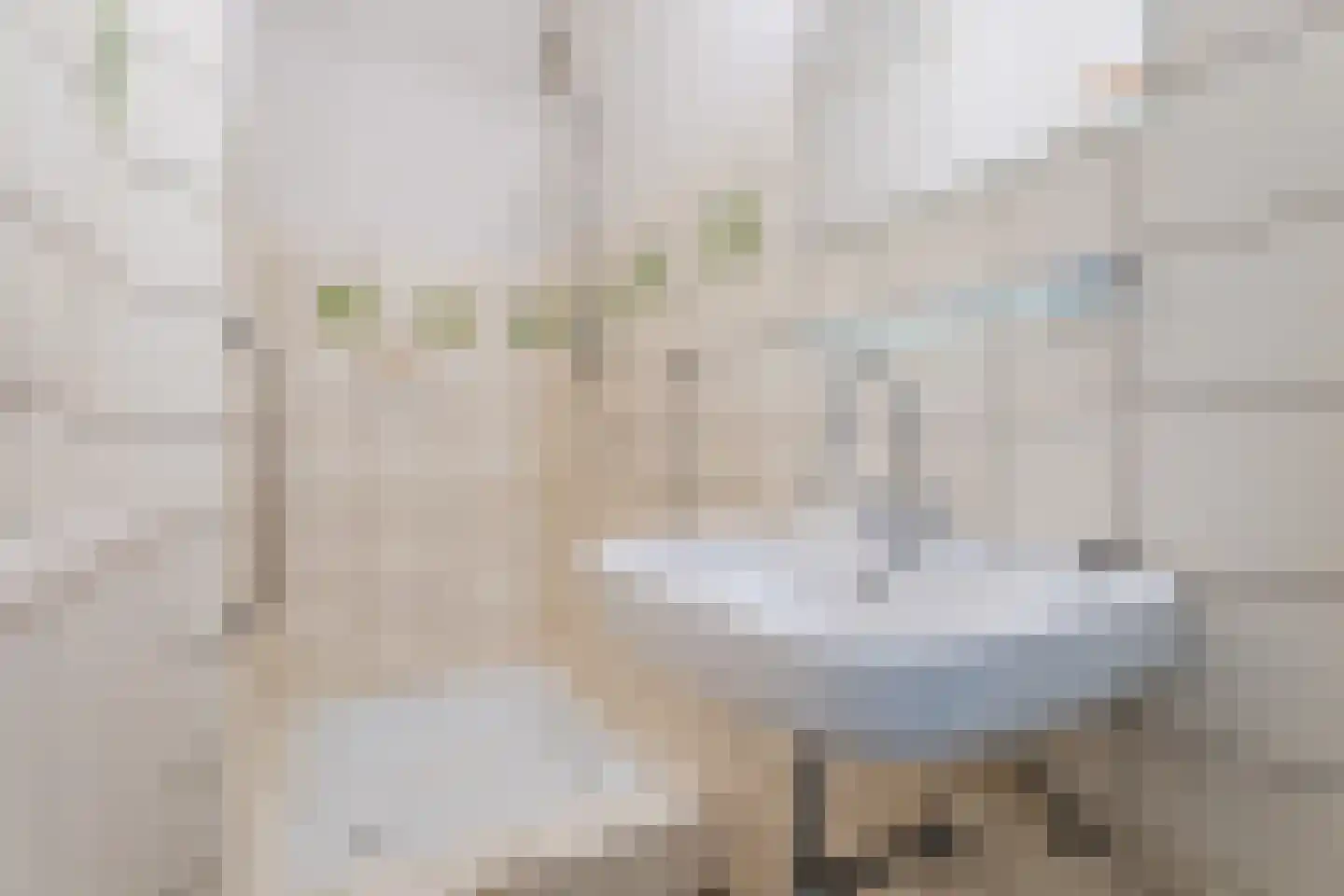 Daniël Catterwijckstraat 57 Rijswijk thumbnail 37
