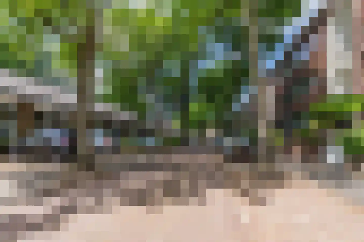 Daniël Catterwijckstraat 57 Rijswijk thumbnail 4