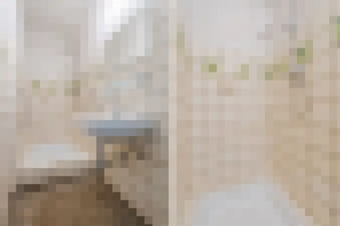 Daniël Catterwijckstraat 57 Rijswijk thumbnail 40