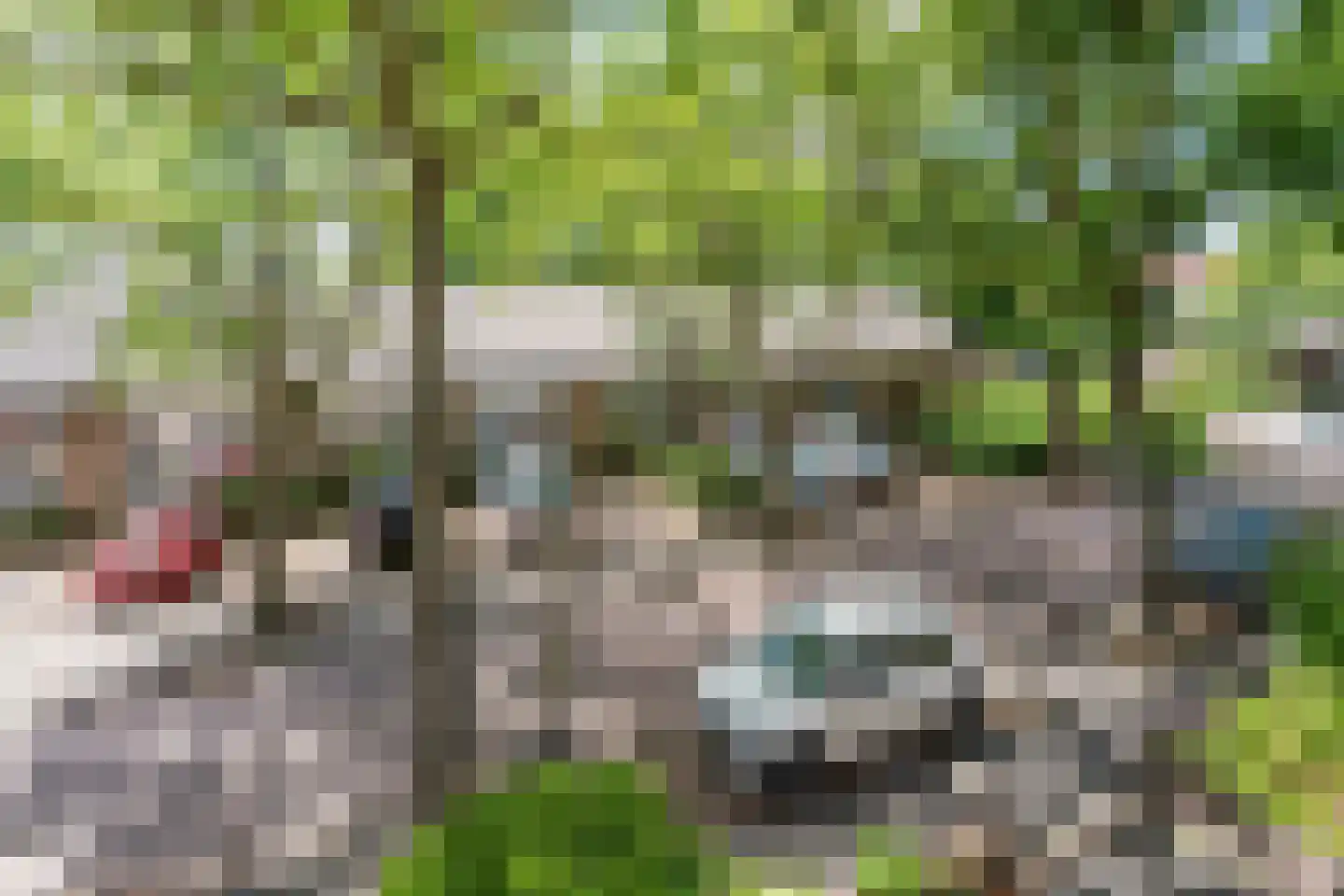 Daniël Catterwijckstraat 57 Rijswijk thumbnail 41