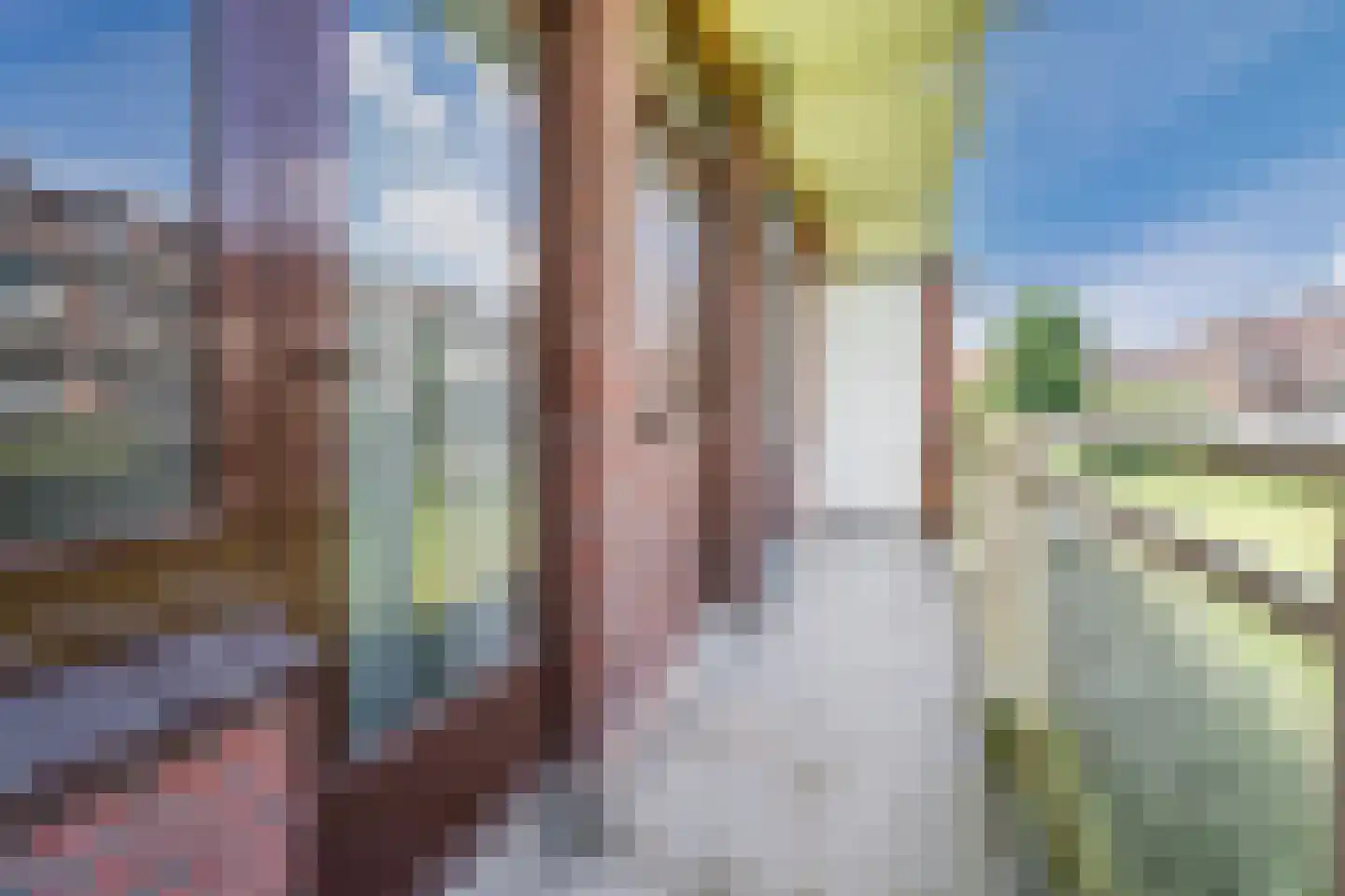 Daniël Catterwijckstraat 57 Rijswijk thumbnail 43