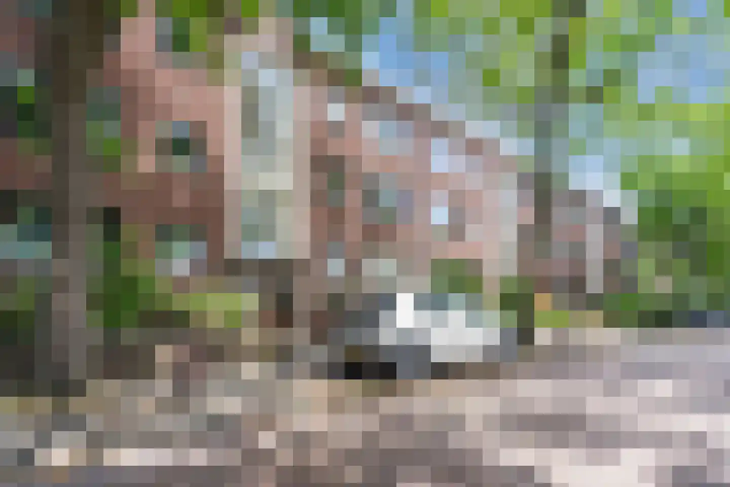 Daniël Catterwijckstraat 57 Rijswijk thumbnail 5