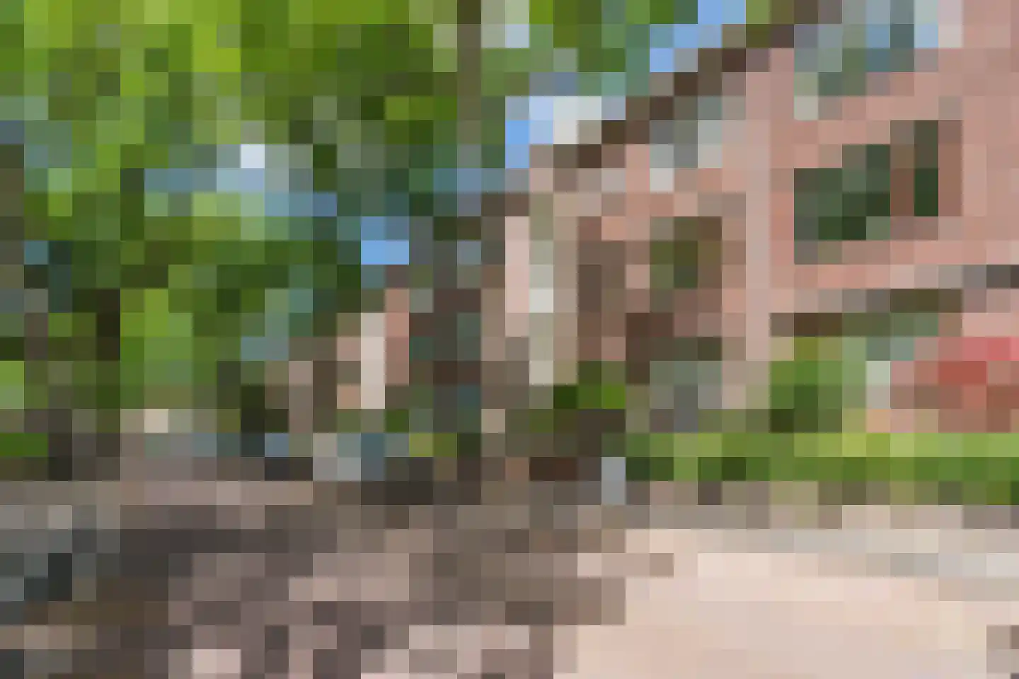 Daniël Catterwijckstraat 57 Rijswijk thumbnail 56