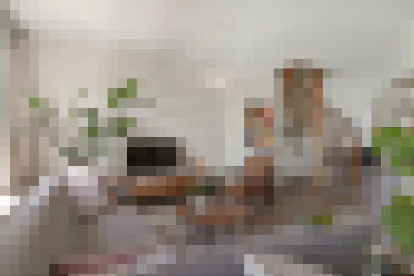 Daniël Catterwijckstraat 65 Rijswijk thumbnail 14