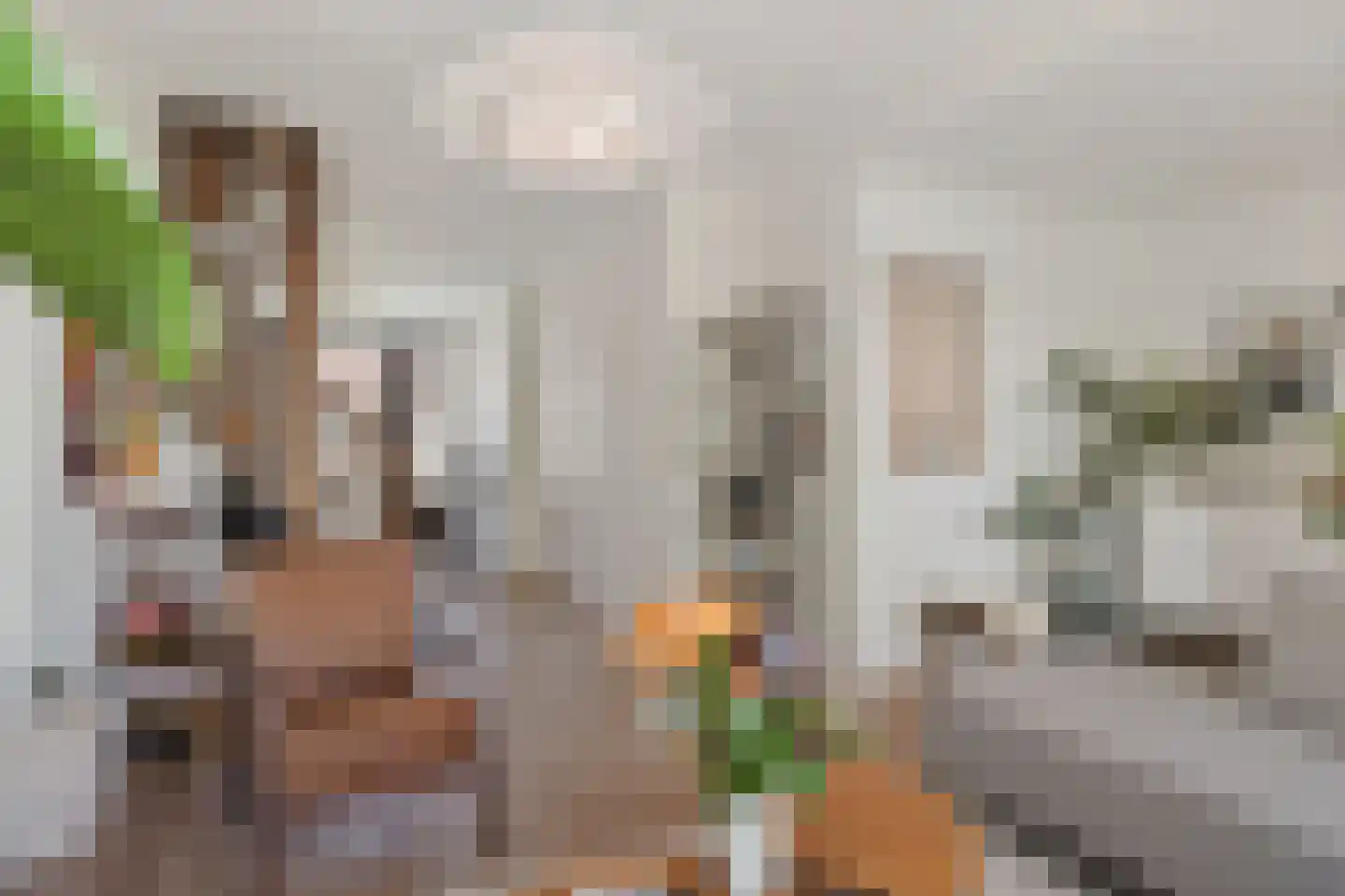 Daniël Catterwijckstraat 65 Rijswijk thumbnail 15
