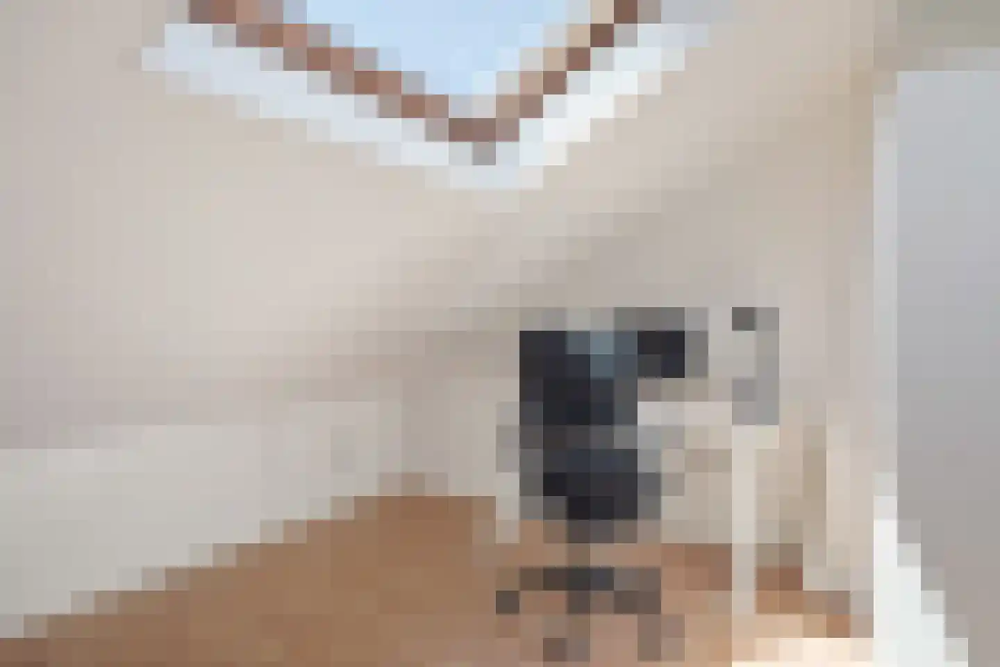 Daniël Catterwijckstraat 65 Rijswijk thumbnail 33