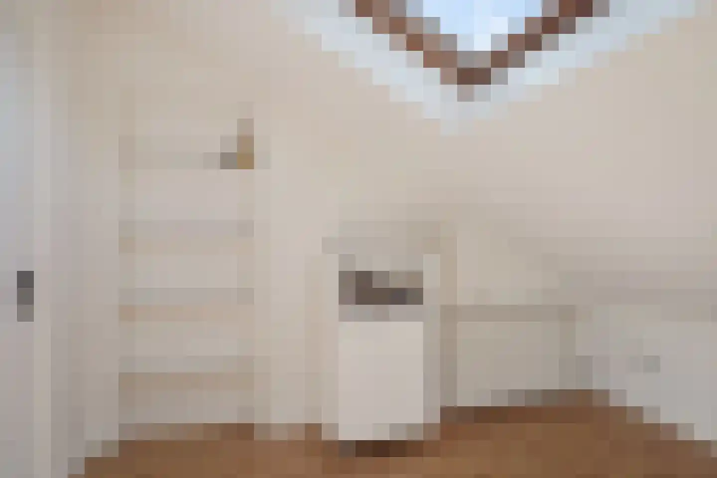 Daniël Catterwijckstraat 65 Rijswijk thumbnail 34