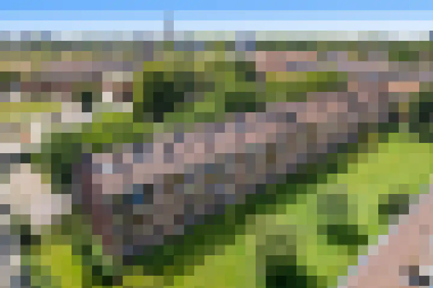 Daniël Catterwijckstraat 65 Rijswijk thumbnail 6