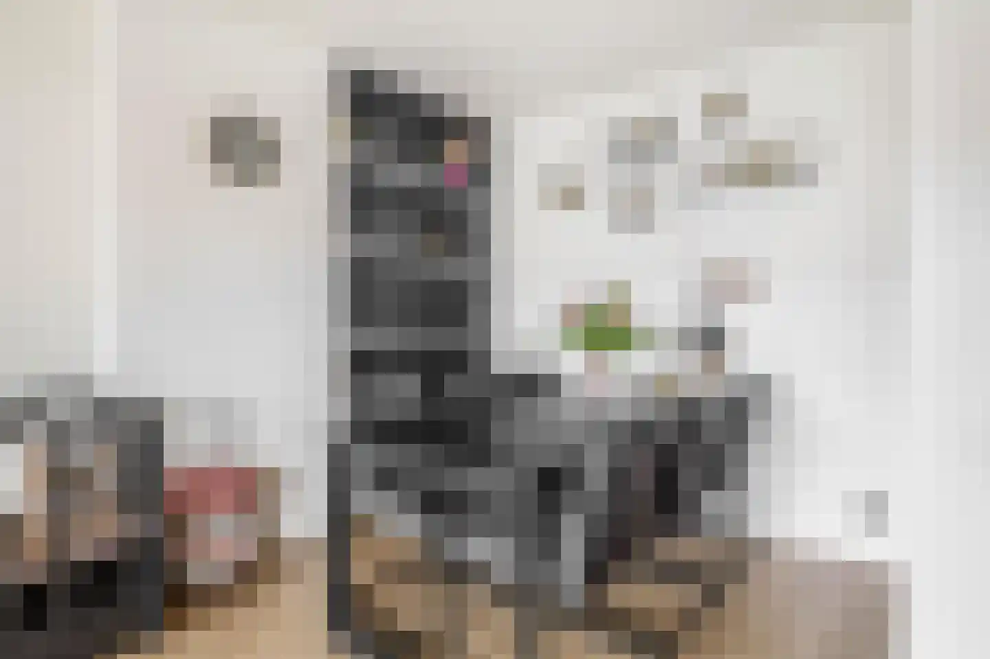 Daniël Catterwijckstraat 73 Rijswijk thumbnail 11