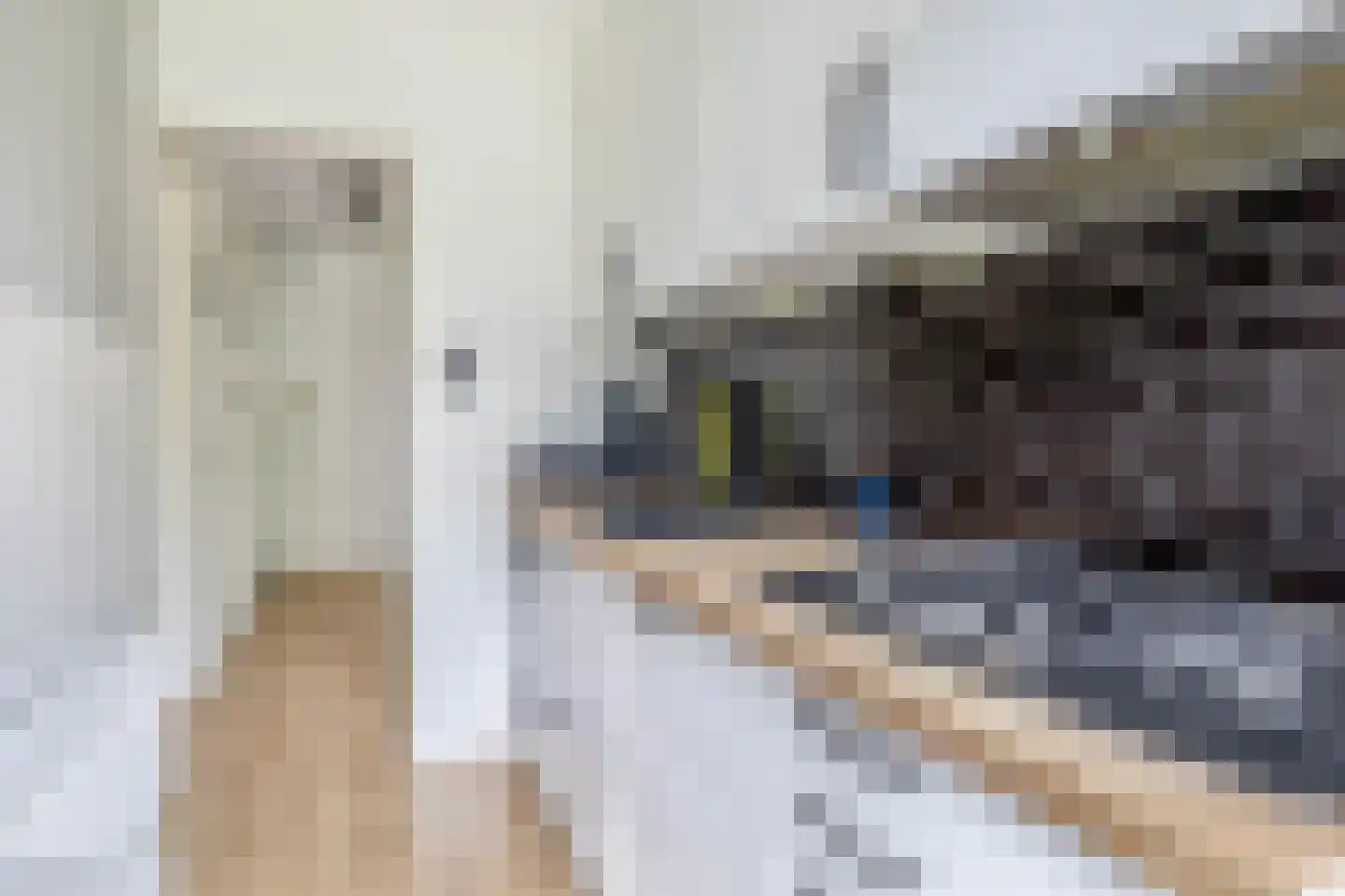 Daniël Catterwijckstraat 73 Rijswijk thumbnail 12