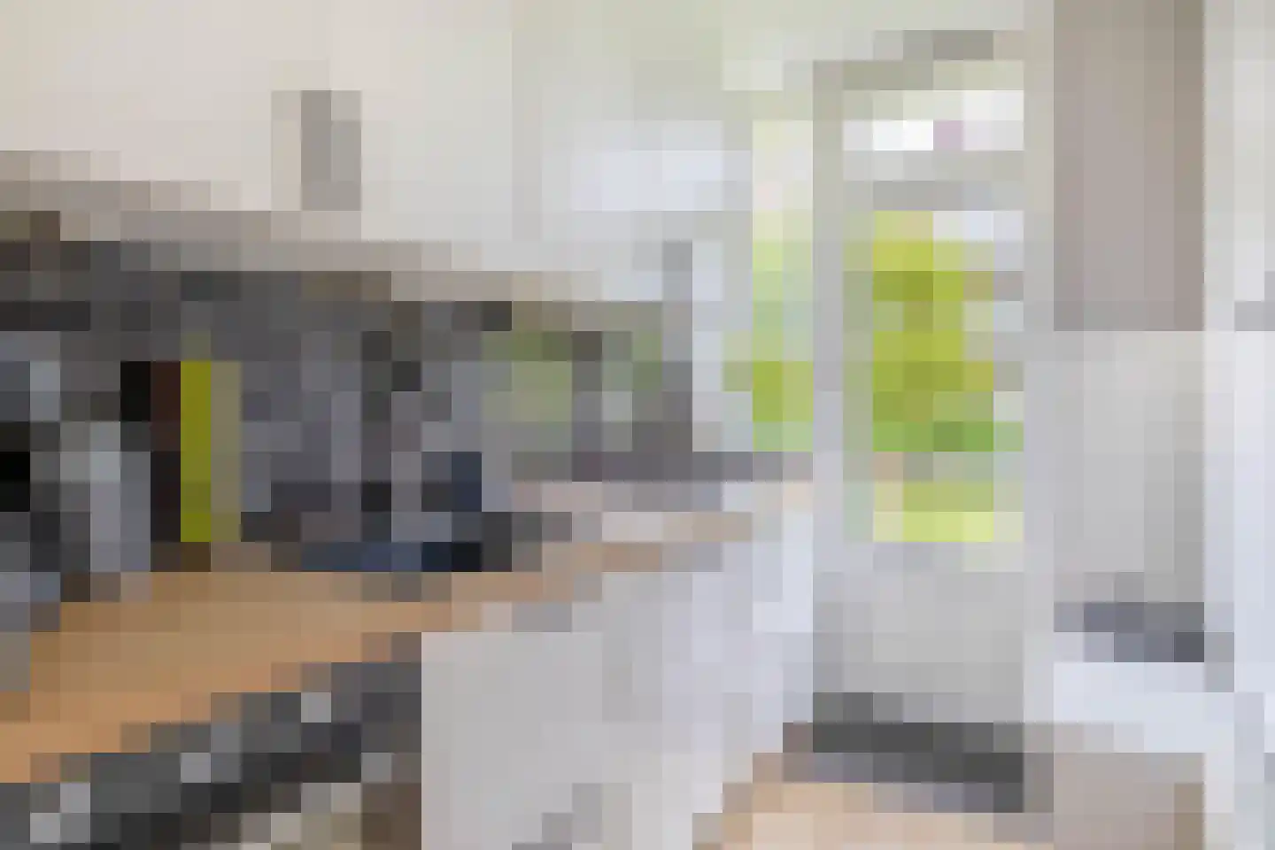 Daniël Catterwijckstraat 73 Rijswijk thumbnail 14