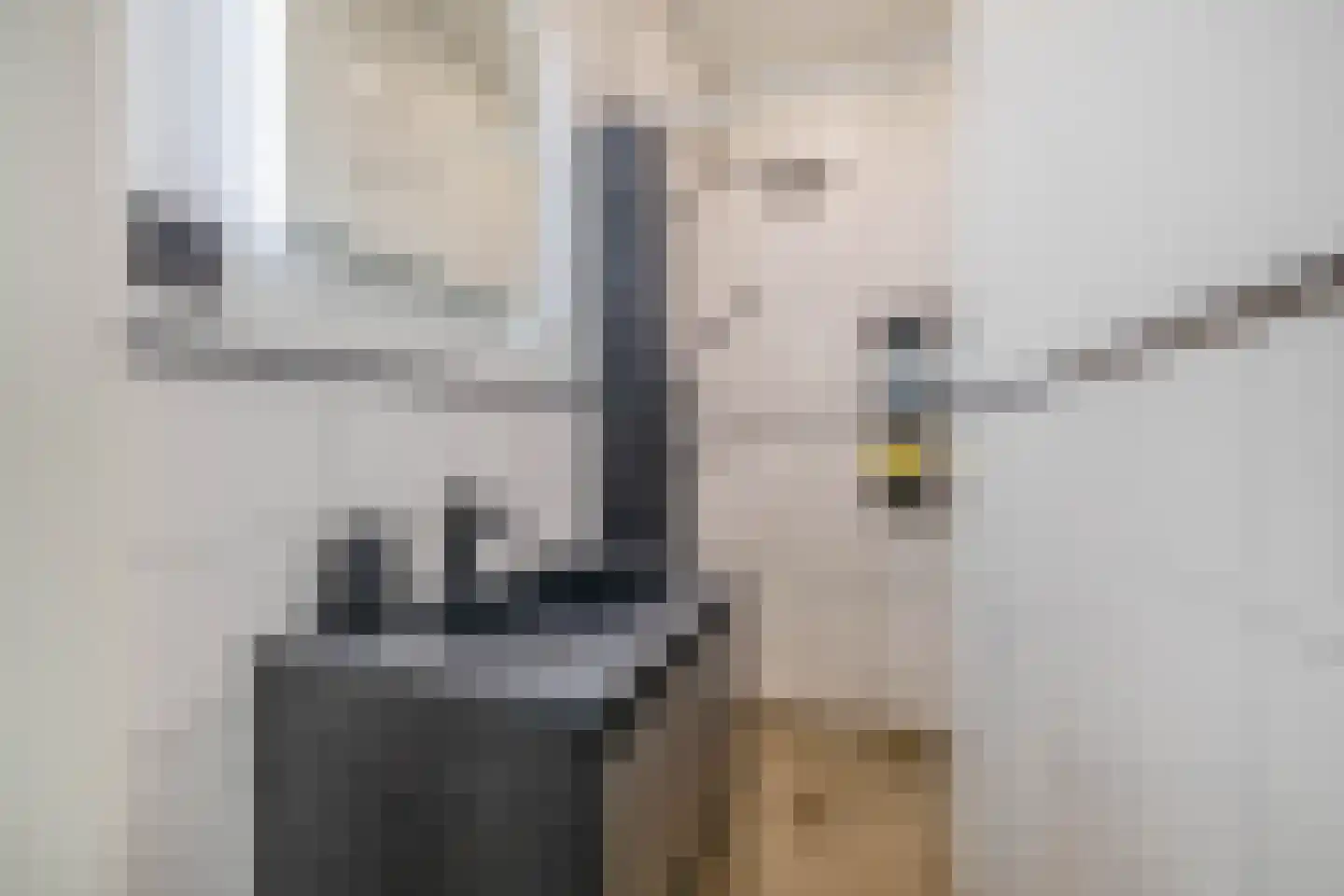 Daniël Catterwijckstraat 73 Rijswijk thumbnail 18