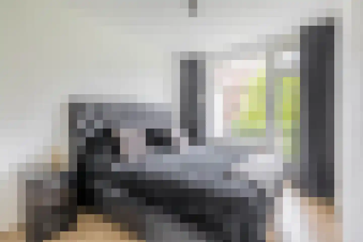 Daniël Catterwijckstraat 73 Rijswijk thumbnail 20