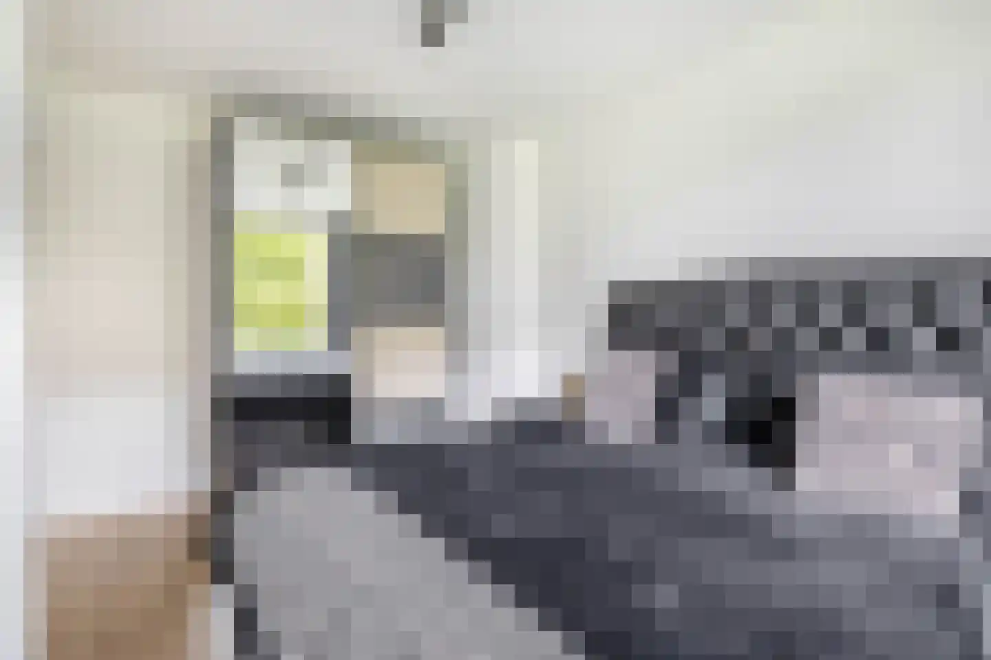 Daniël Catterwijckstraat 73 Rijswijk thumbnail 21