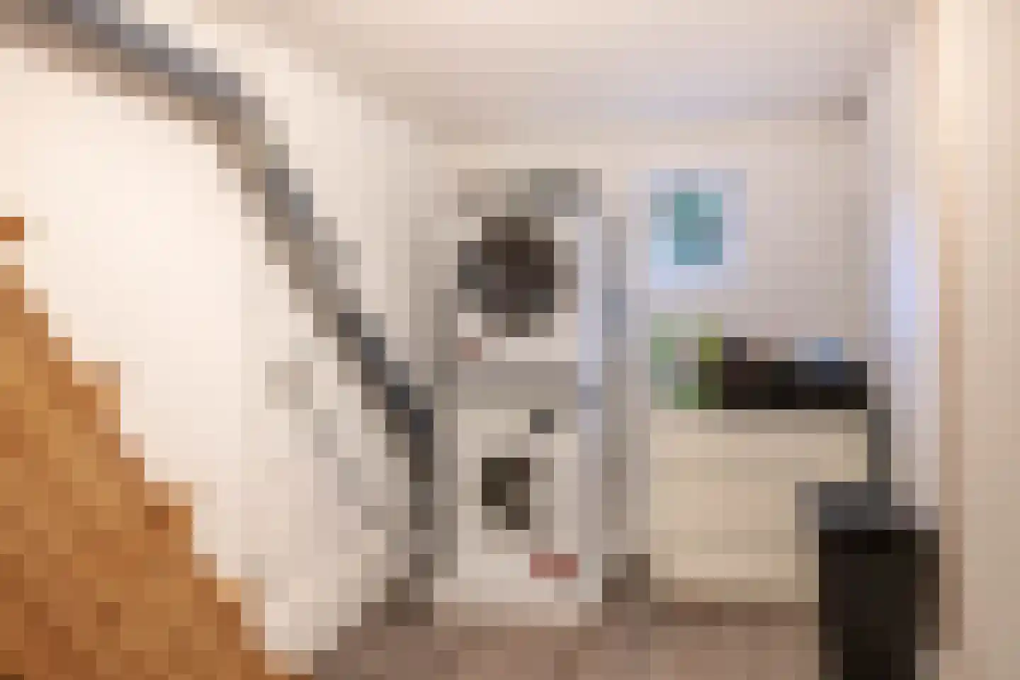 Daniël Catterwijckstraat 73 Rijswijk thumbnail 25