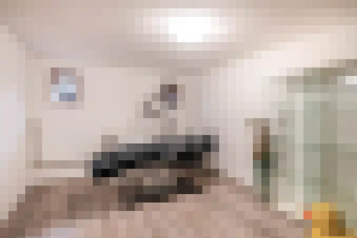 Daniël Catterwijckstraat 73 Rijswijk thumbnail 26