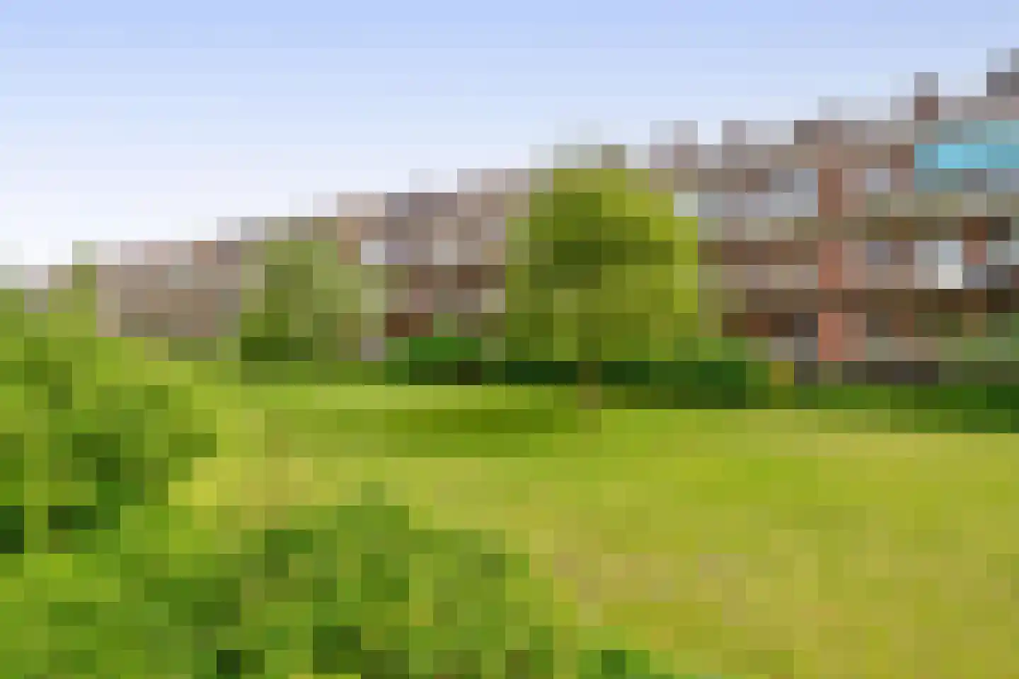 Daniël Catterwijckstraat 73 Rijswijk thumbnail 30