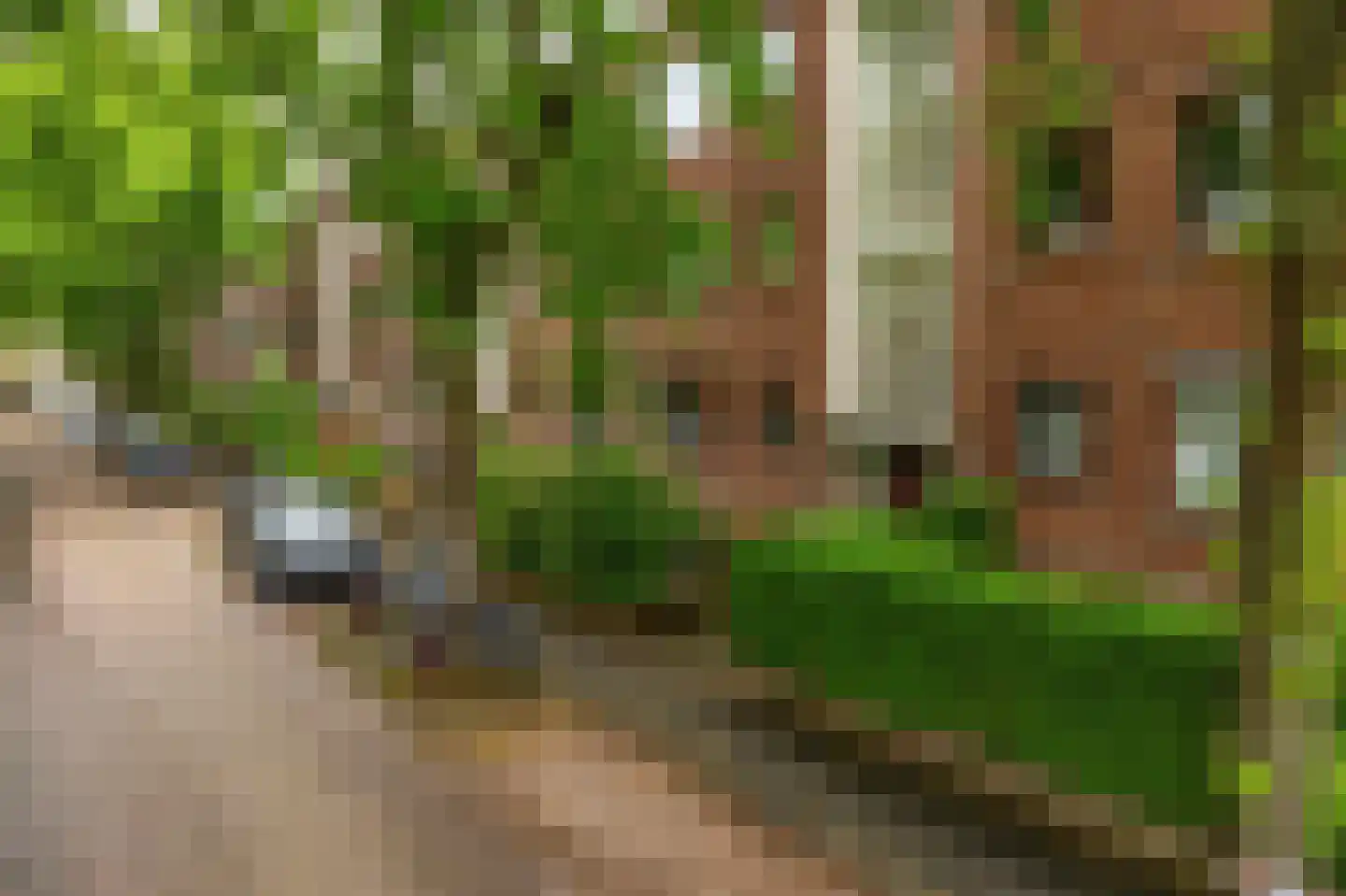 Daniël Catterwijckstraat 73 Rijswijk thumbnail 31