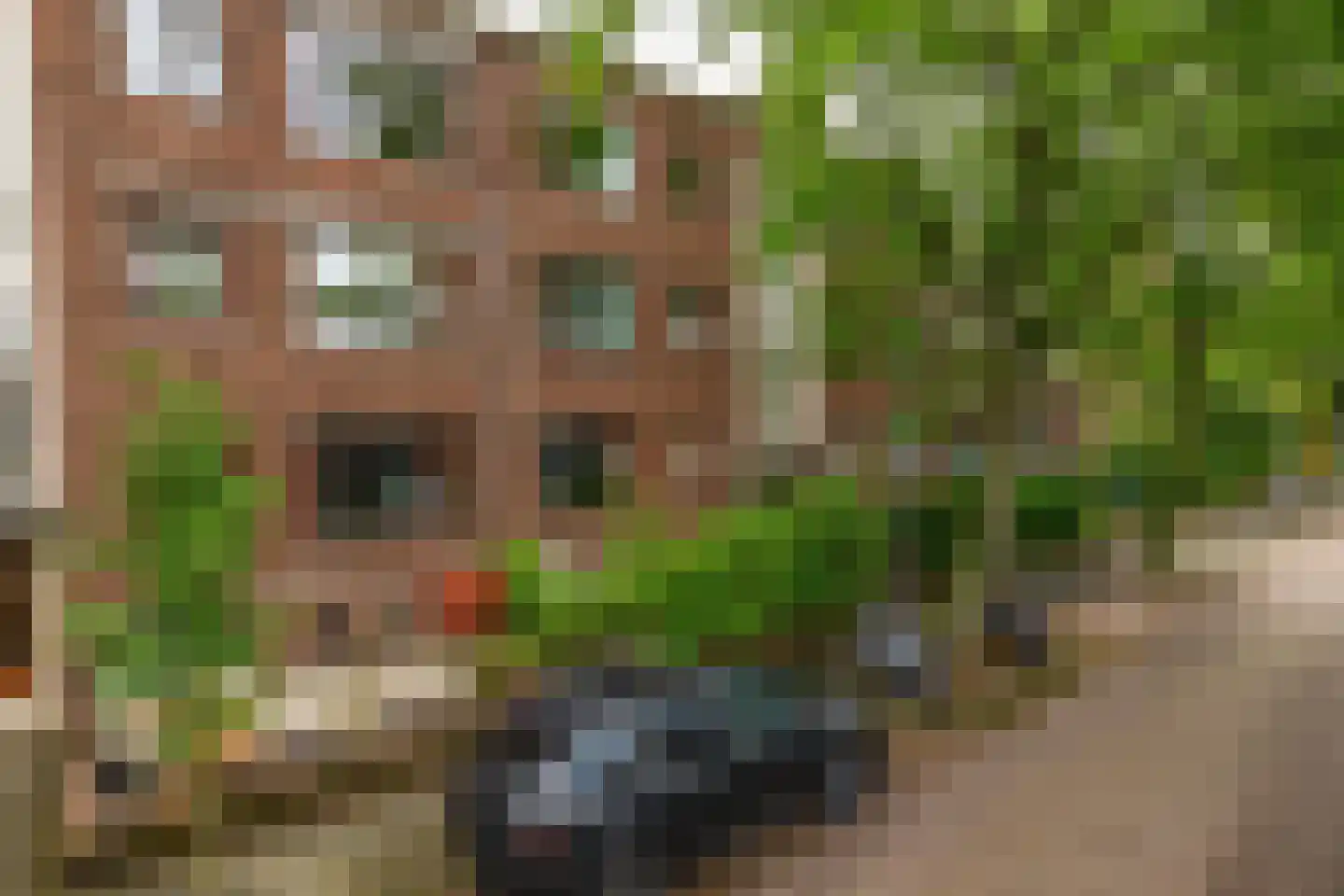 Daniël Catterwijckstraat 73 Rijswijk thumbnail 32