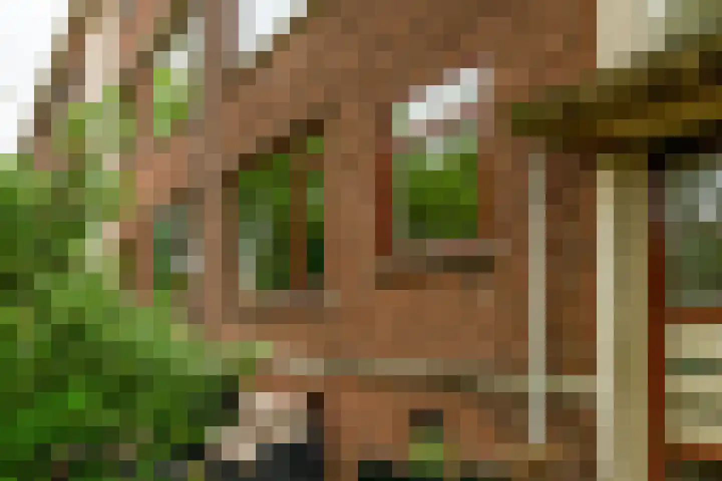 Daniël Catterwijckstraat 73 Rijswijk thumbnail 33