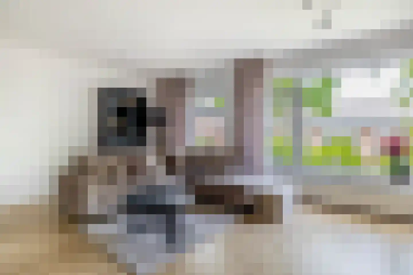 Daniël Catterwijckstraat 73 Rijswijk thumbnail 7