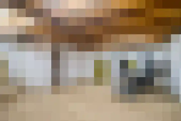 Daniël de Brouwerstraat 21 Boekel thumbnail 18