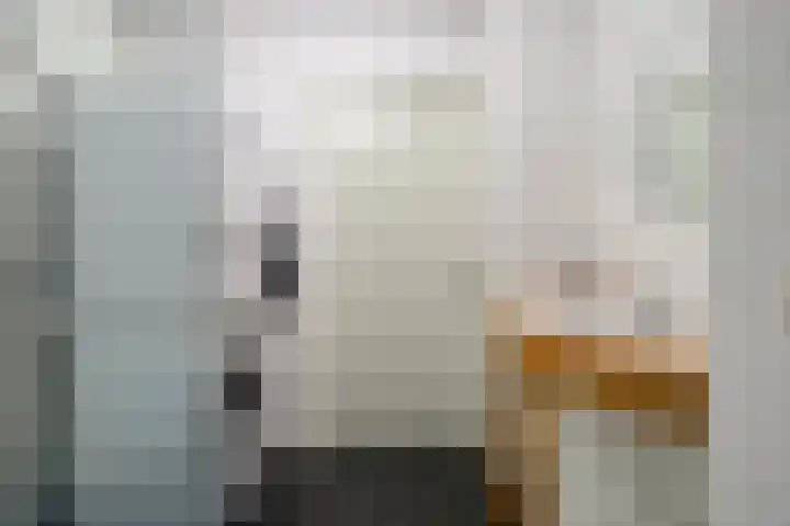 Daniël de Brouwerstraat 21 Boekel thumbnail 22