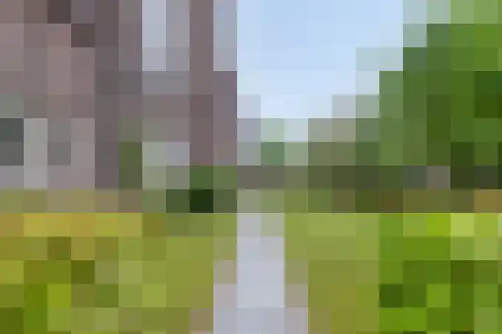 Daniël de Brouwerstraat 21 Boekel thumbnail 4