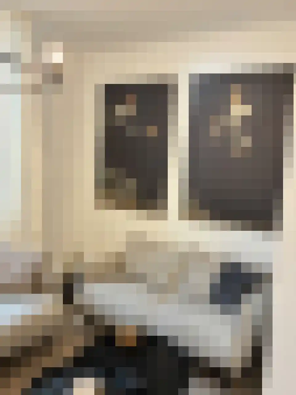 Daniël de Brouwerstraat 25 Boekel thumbnail 10