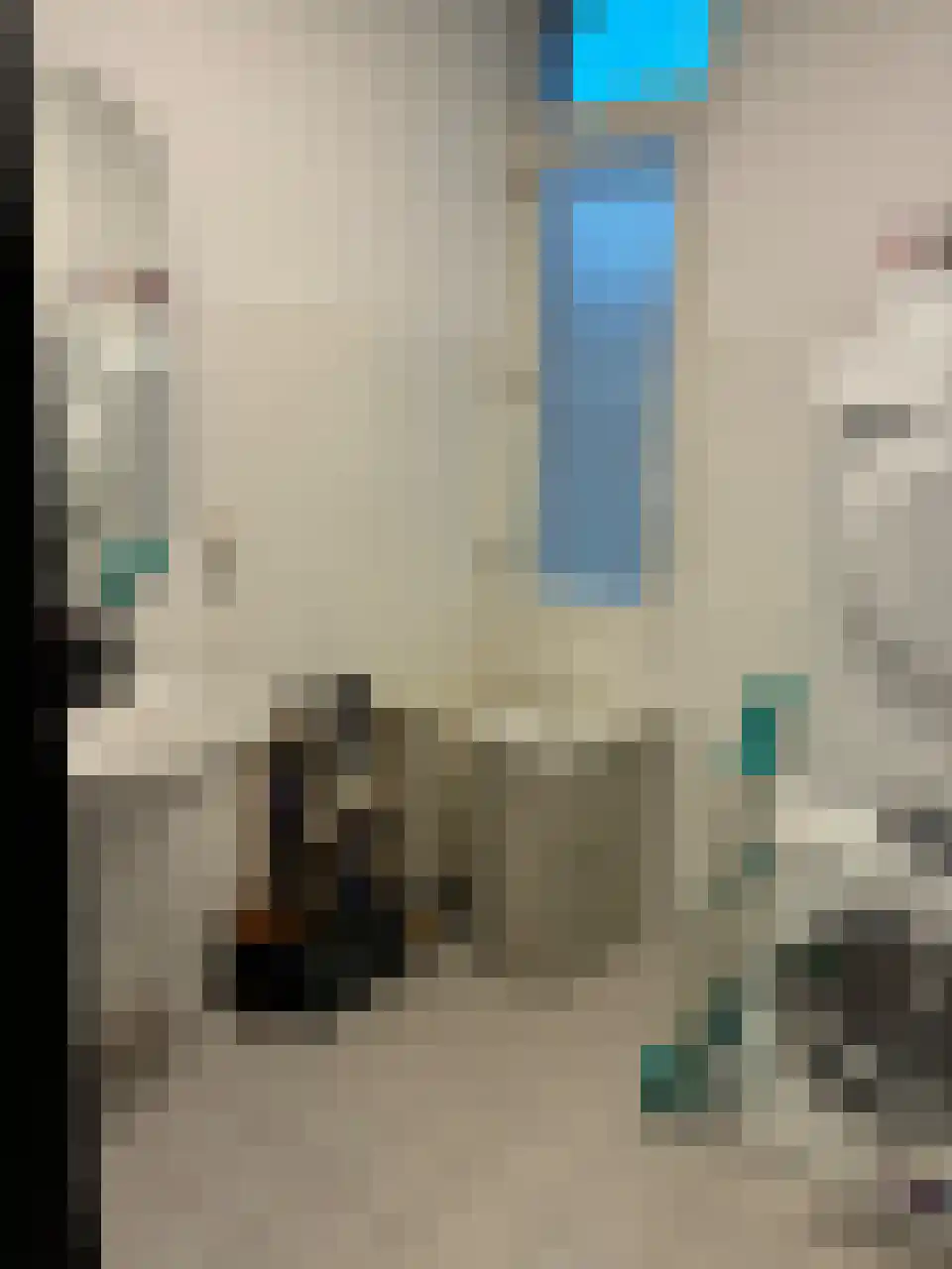 Daniël de Brouwerstraat 25 Boekel thumbnail 17