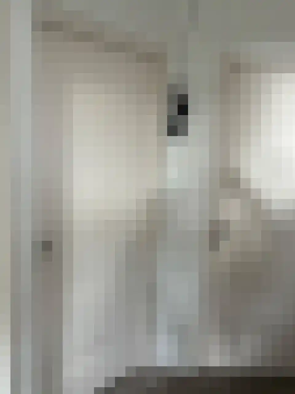 Daniël de Brouwerstraat 25 Boekel thumbnail 25