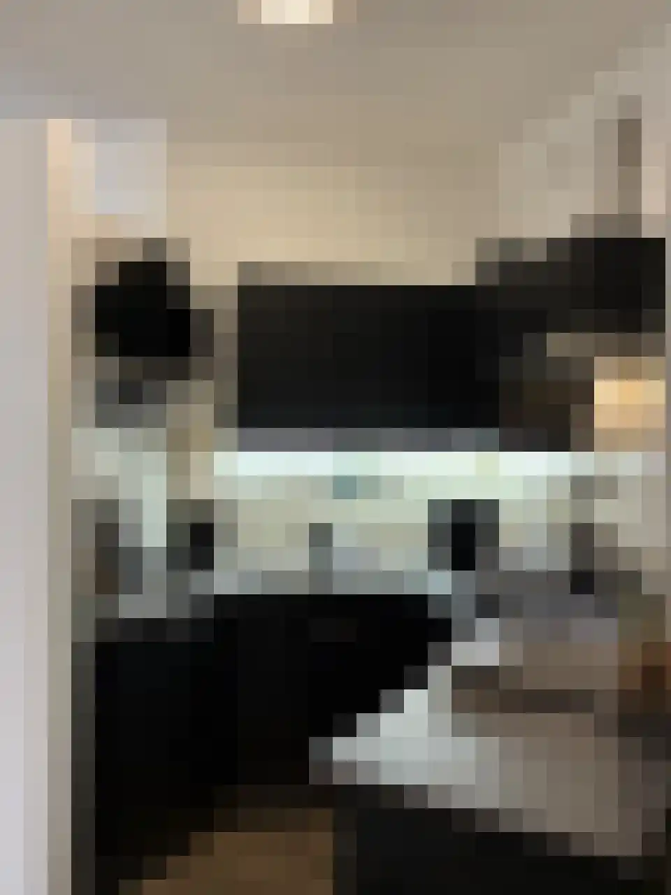 Daniël de Brouwerstraat 25 Boekel thumbnail 7