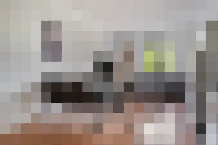 Daniël de Brouwerstraat 37 Boekel thumbnail 10
